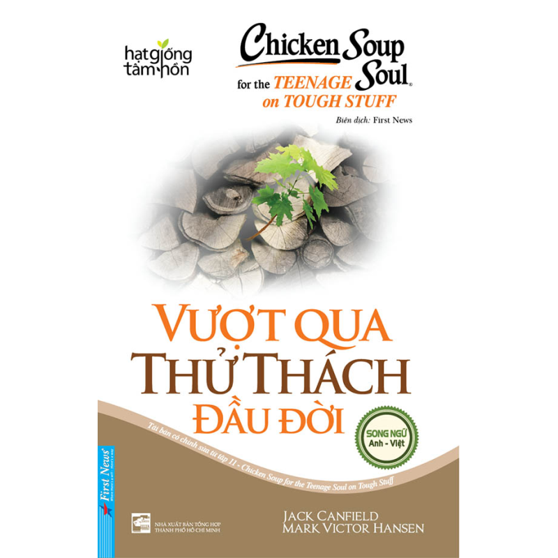 Chicken_soup_for_6239cfd321c32.jpg
